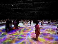 TeamLab Planets Tokyo: Tokyo's Most Engaging Art Experience! 🌟👣