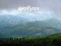 ดอยช้างมูบ" เชียงราย 🌄🌿