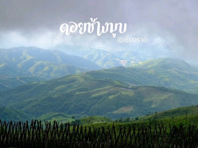 ดอยช้างมูบ" เชียงราย 🌄🌿