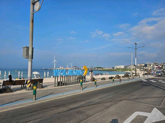 월정리 해변 (제주)