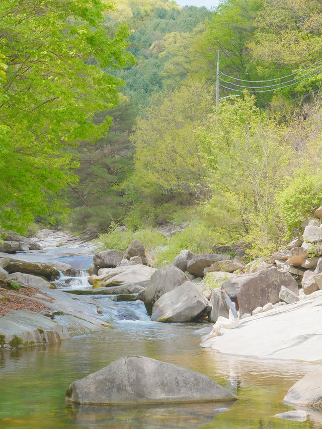 사랑 가득한 여행 하기 좋은 힐링 도시 화천🌿