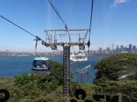 🐨 Taronga Zoo Sydney สวนสัตว์ที่วิวดีที่สุดในโลก!
