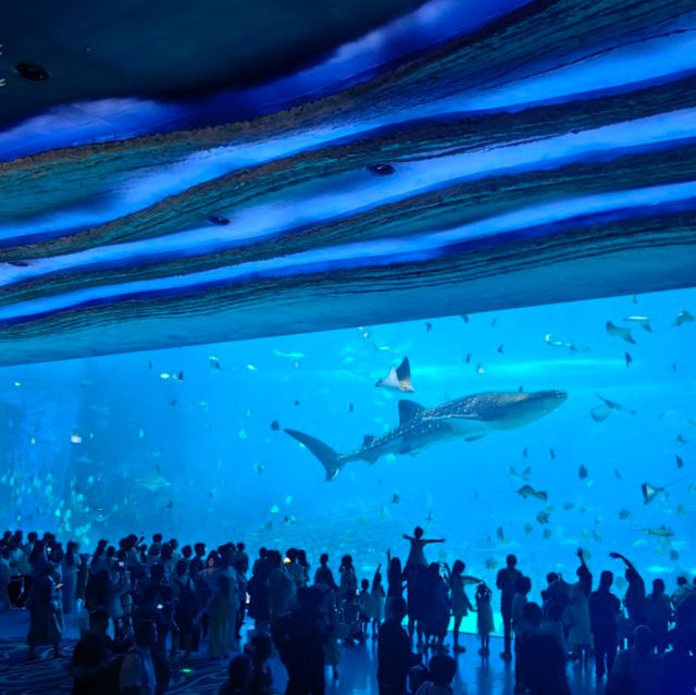 【中国/珠海長隆海洋公園】