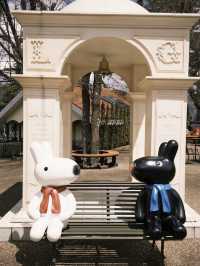 🎢 Fuji-Q Highland – หวีดให้สุด แล้วหยุดที่วิวฟูจิ