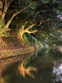 Kanazawa: A peaceful gem with nature and art 🌿🎨