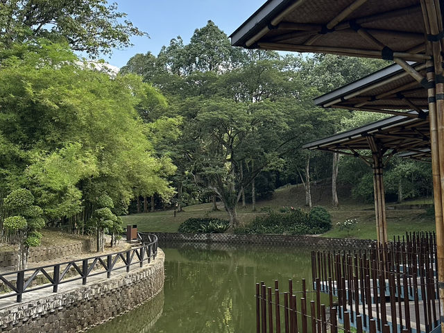 Perdana Botanical Garden – Where Green Isn’t Just a Colour, It’s a Whole Mood 🍃💚