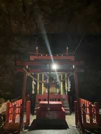 【弾丸‼︎】宮崎2日間の旅🏝️