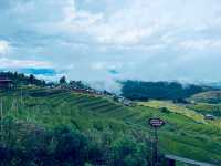 🌾 ป่าบงเปียง – วิวหลักล้านกลางทุ่งนาเขียวขจี 🍃💚