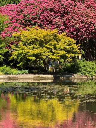 🌸英國最美花園？威爾斯博德南特花園