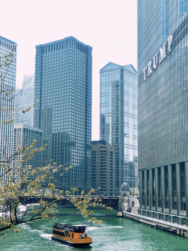 🌆 Chicago in Sunshine｜The Windy City’s Gentle Side