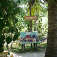 คาเฟ่เปิดใหม่ระยอง น่ารักเกิ๊นนน 🌴🪿
