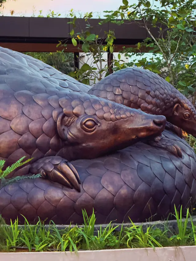 Night Safari at Singapore Zoo – Fun Wildlife Viewing, Chaotic Entry