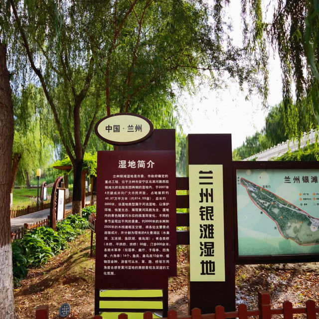 🌿 Yintan Wetland Park — Nature’s Calm by the Sea