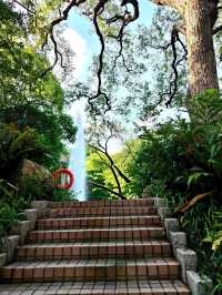🌿เดินเล่นสวนเกาลูน