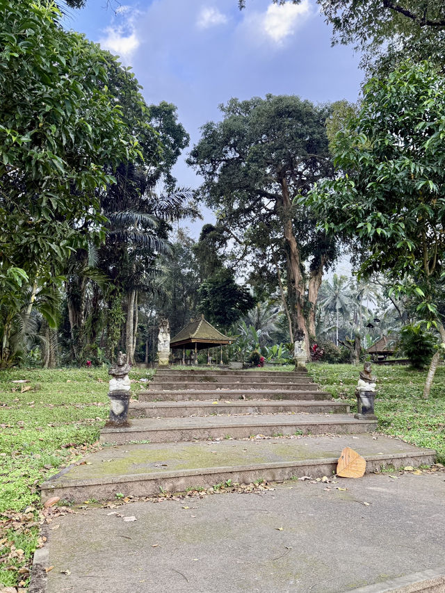 🌾 Morning Bliss in Ubud’s Green Heart 🌾 Morning Bliss in Ubud’s Green Heart