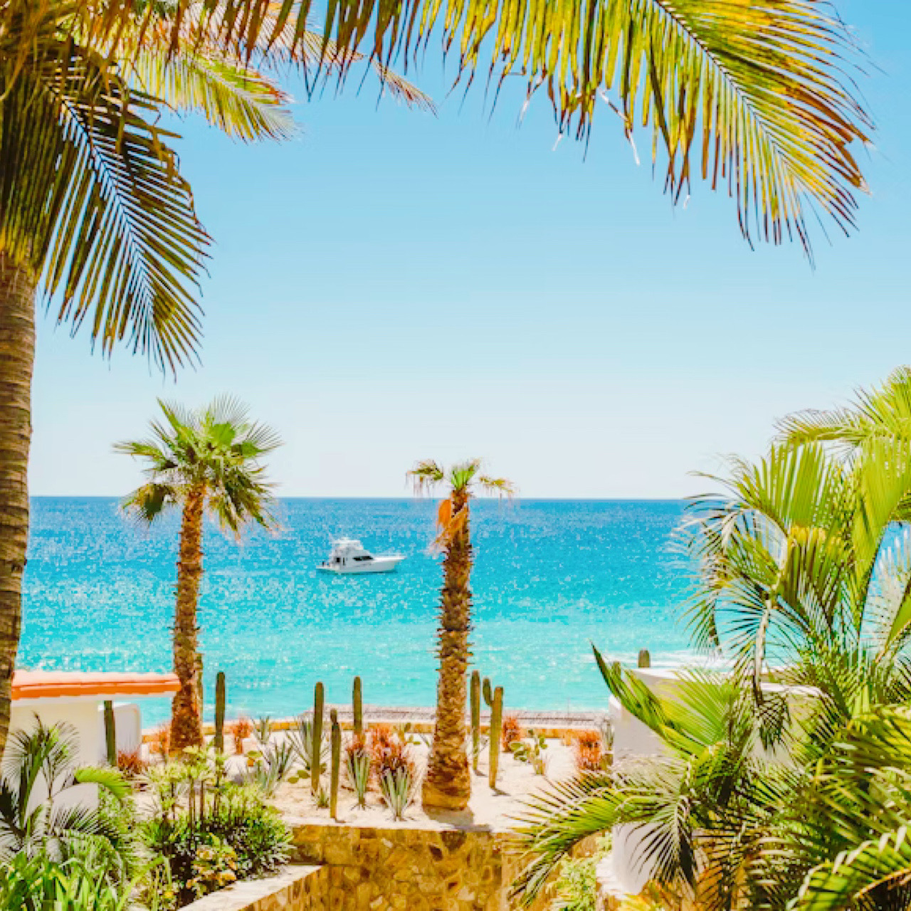Khu nghỉ dưỡng Mexico có ý thức cao🏝️🇲🇽
