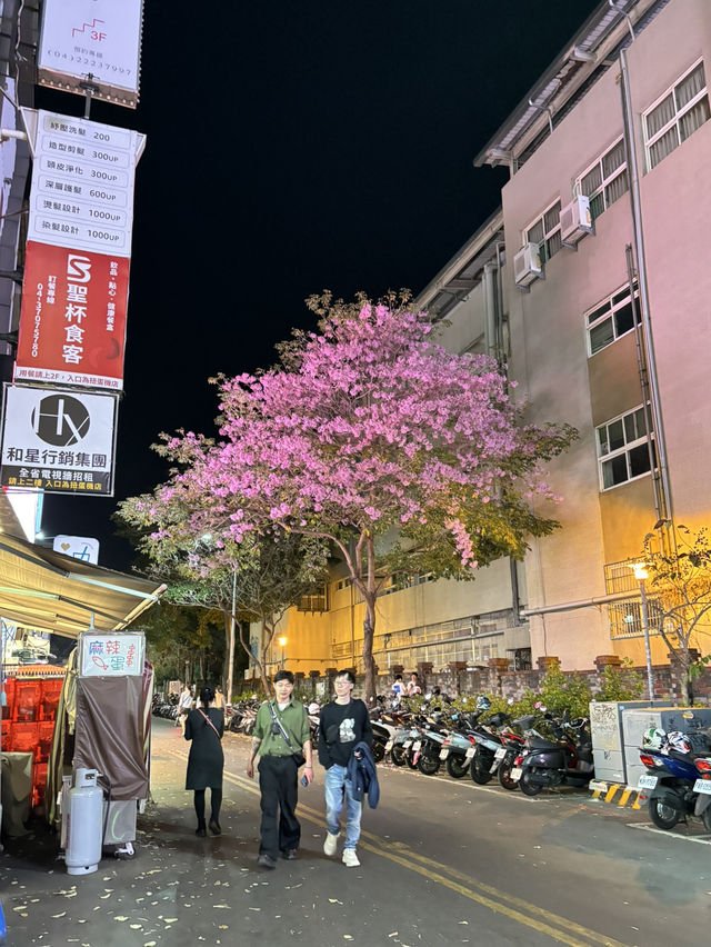 Yizhong Street Night Market – ไนท์มาร์เก็ตวัยรุ่น Yizhong Street Night Market – ไนท์มาร์เก็ตวัยรุ่น