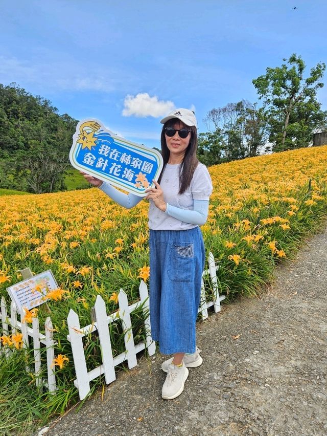 金黃色的赤科山