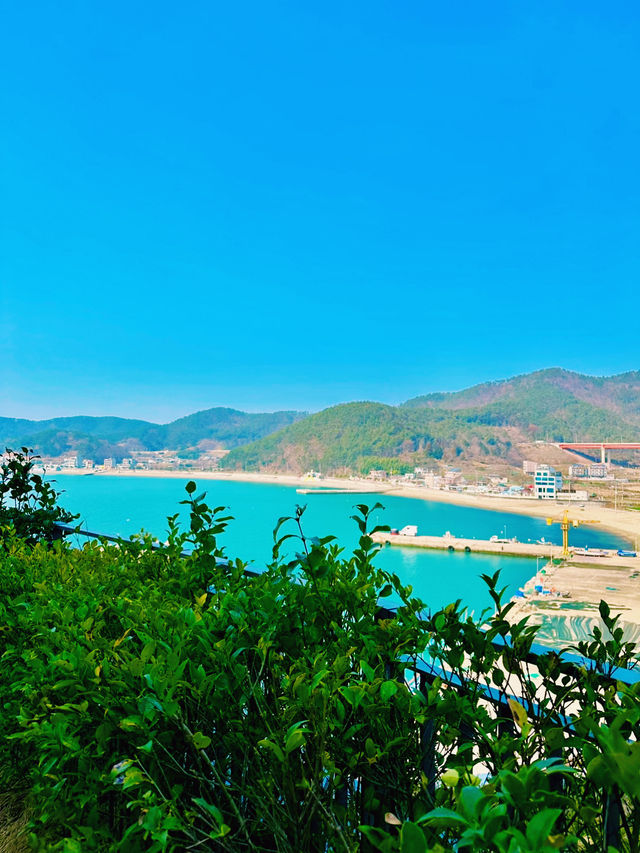 🌊거제 벨버디어 리조트에서 보내는 완벽한 휴식✨ 🌊거제 벨버디어 리조트에서 보내는 완벽한 휴식✨