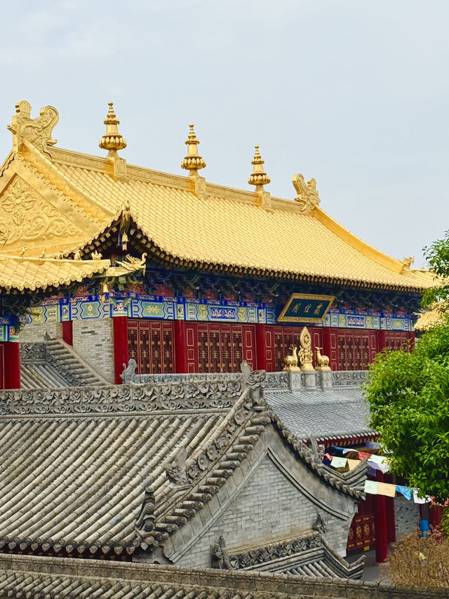 西安廣仁寺｜隨手一拍皆是藏式美學大片📷