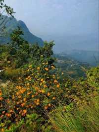Thani Mai Temple – The Spiritual Viewpoint of Bandipur🙏