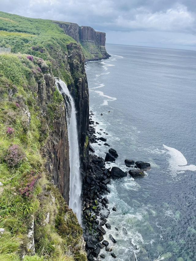 Skye, cliffs & puffins ~ pure magic 🐧⛰️ 💙💕
