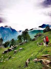 Treking diary in Manali, India