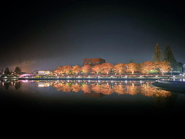 富山岩水公園：夜空下的浪漫詩篇