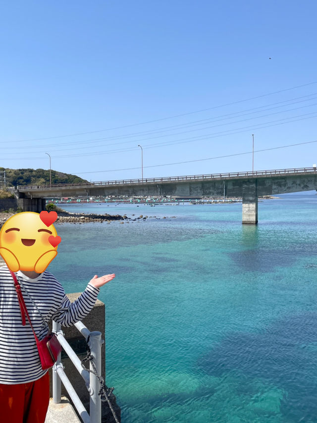 四国ドライブ旅🚗✨寄り道ですら絶景すぎた
