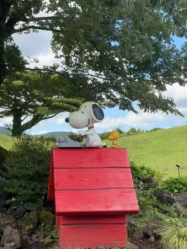 Snoopy Garden 🌿✨ Got me hooked the moment I walked in!