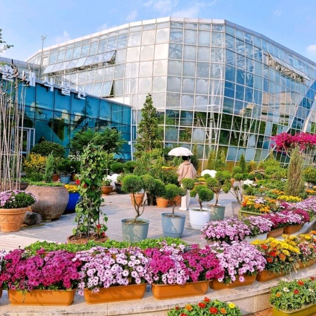 대전 도심 속 오아시스, 한밭수목원🌿