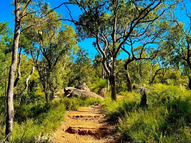Bibbulmun Track｜探索世界級健行步道