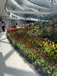 สัมผัสเสน่ห์ธรรมชาติที่ Miracle of Natural Rayong