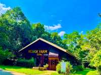 鄉村田園體驗：美蘇克農場（Mesook Farm）