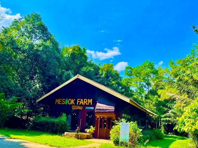 鄉村田園體驗：美蘇克農場（Mesook Farm）