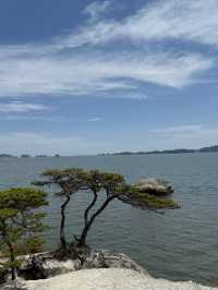 松島 馬の背🌊自然が生み出した絶景スポット
