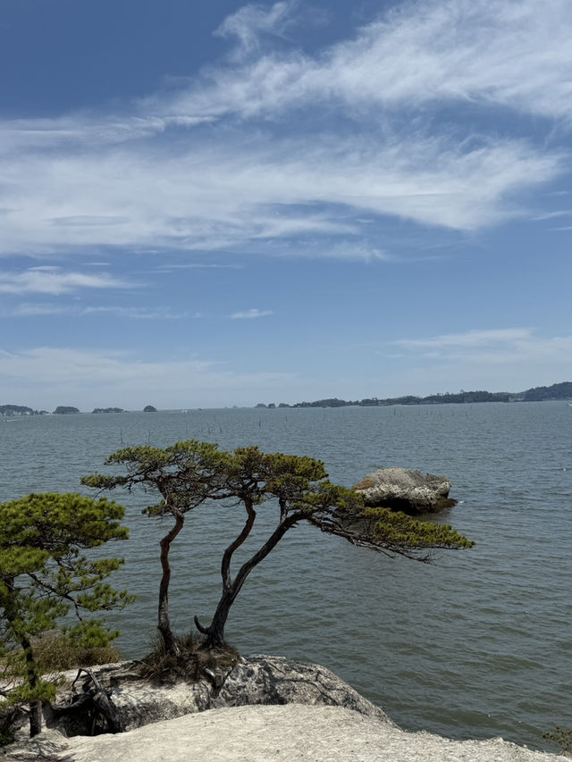 松島 馬の背🌊自然が生み出した絶景スポット