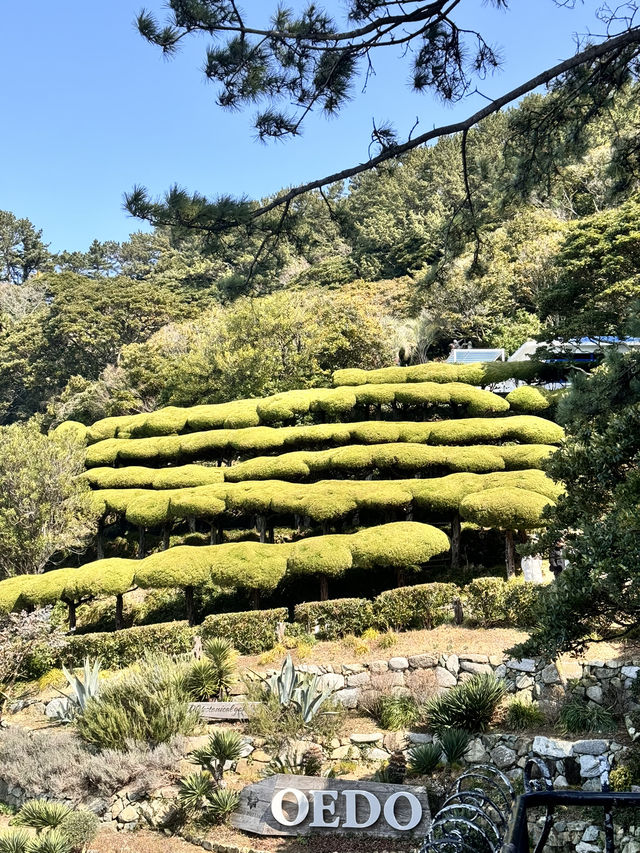 令人驚喜的巨濟島一日遊