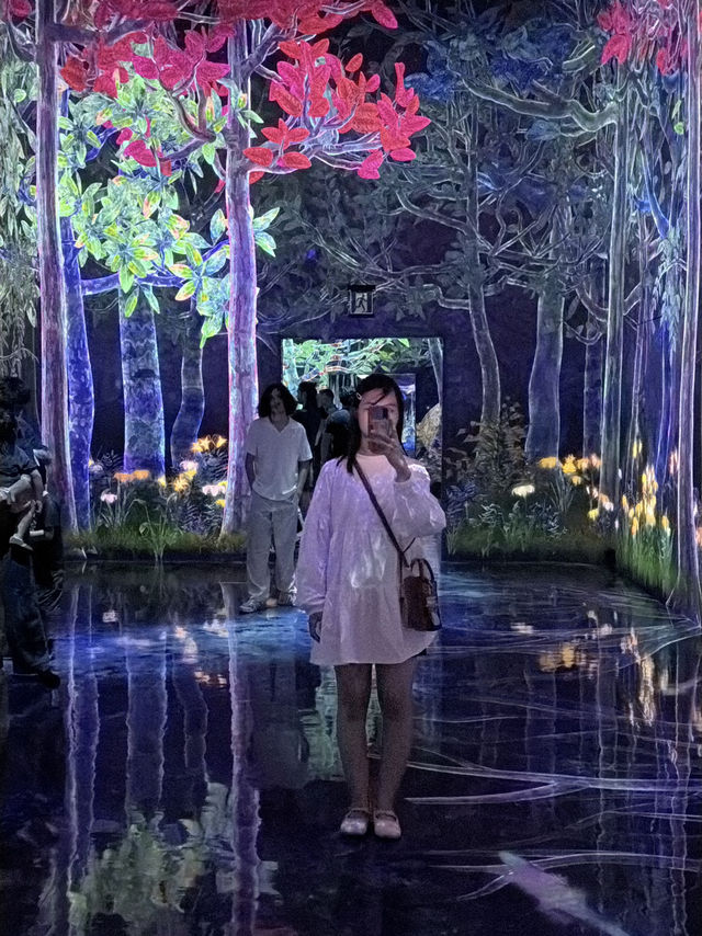 チームラボ豊洲(bảo tàng nghệ thuật số)