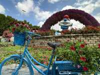 🌸💕 Step Into a Floral Fantasy at Dubai Miracle Garden