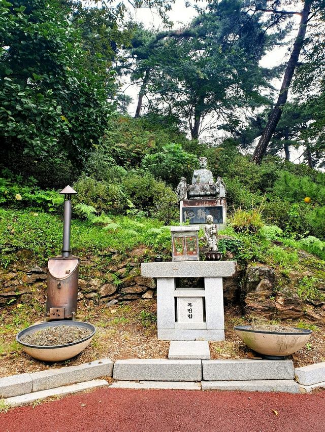 바람의 휘파람이 들리는 공주 마곡사 솔바람길