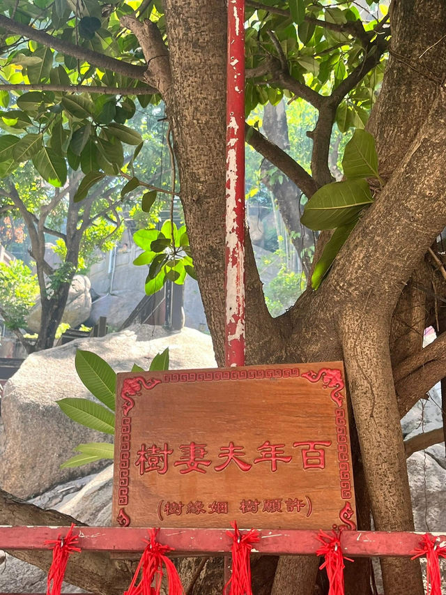 澳門必遊 媽閣廟 輕軌一日遊