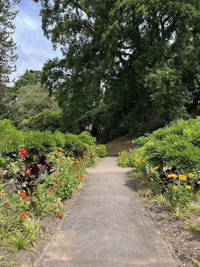 🎓🌳 University of Exeter มหาวิทยาลัยสีเขียว