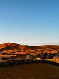 The Endless Beauty of the Sahara Desert