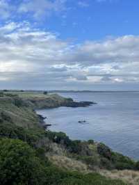 The Nobbies View Point