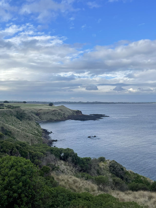 The Nobbies View Point