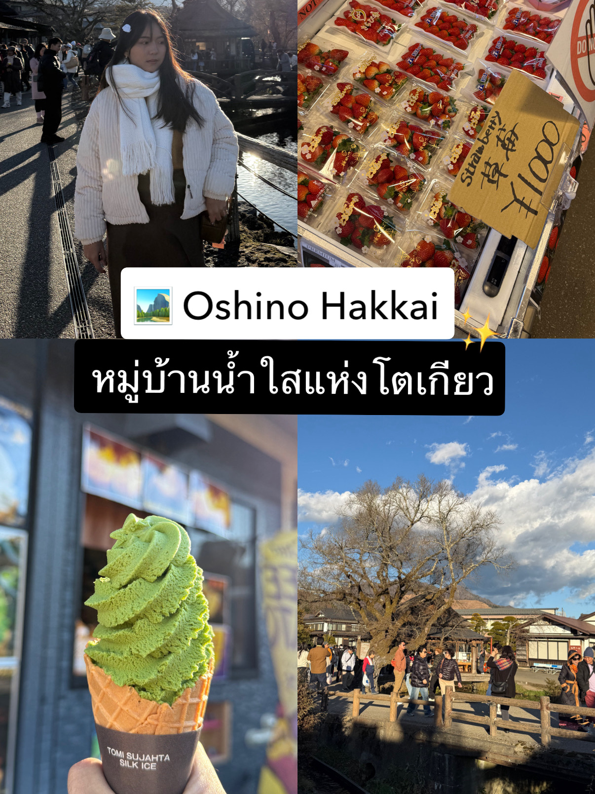 如果你打算去東京旅行，一定要把這個地方收藏起來。

📍忍野八海

這個小村莊在泰國被稱為“清水村”，擁有傳統的日式氛圍，掩映在大自然中。最特別的是可以一覽富士山的全景。 🗻💙

🌿 必去亮點：
• 漫步在這個仍保留著正宗日式魅力的小村莊。 🏯
• 清澈見底的海水，可以清楚看到魚兒在水中游動。
• 農場直採的新鮮草莓，甜美多汁，絕對令人驚艷。 🍓
• 濃鬱的抹茶冰淇淋。 🍦 香氣撲鼻，口感濃鬱。
• 絕佳的拍照機會，可欣賞富士山的壯麗景色。 📸

✨ 這裡的氛圍彷彿置身於日本動畫片中。這裡寧靜祥和，空氣清新，非常適合那些想在旅途中放鬆身心的人。

#忍野八海 #清水村 #日本旅行 #東京之旅 #富士山美景

#無運氣也能獲得折扣