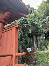 日本沖繩｜安里八幡宮——城市街角的靜謐神社，凝望歲月與庇佑的守護之地
