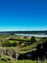 Exploring the Scenic Taniwha Trail in Waikato