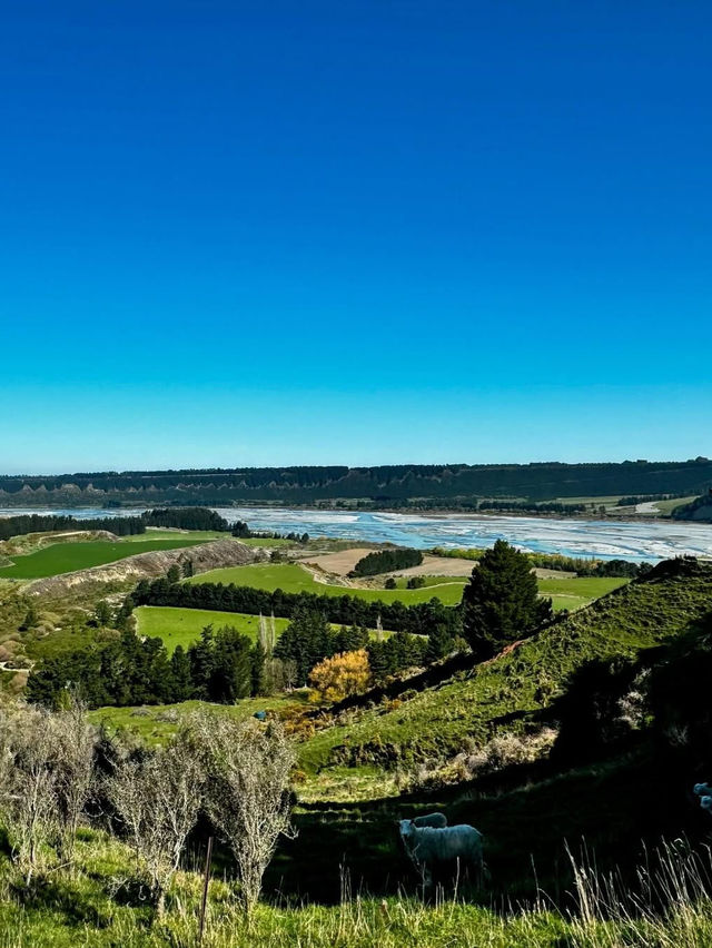 Exploring the Scenic Taniwha Trail in Waikato